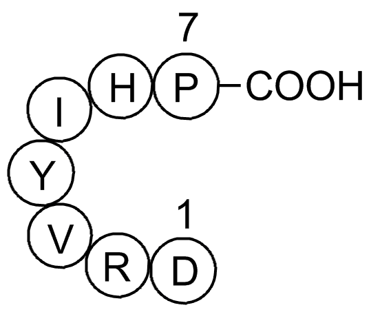 Angiotensin (1-7)