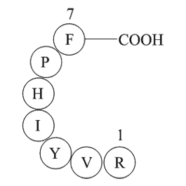 Angiotensin III (human, mouse)