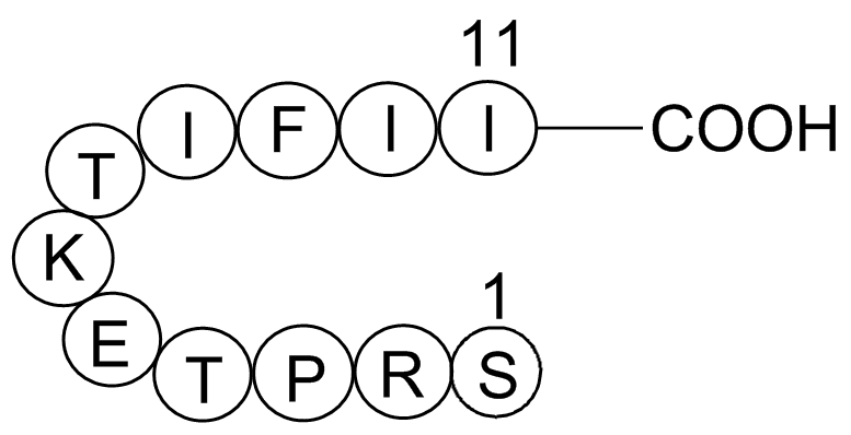 Gap 27