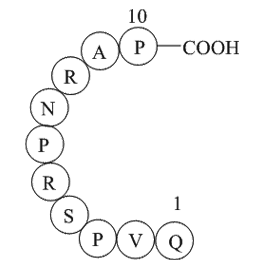 Dynamin inhibitory peptide