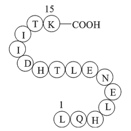 alpha-1 antitrypsin fragment