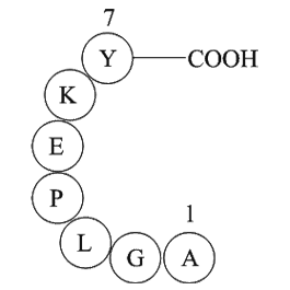 amyloid A protein fragment [Homo sapiens]