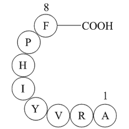 Angiotensin 1/2 + A (2 - 8)