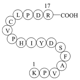 coagulation factor II (thrombin) B chain fragment [Homo sapiens]