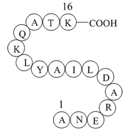 Cytochrome c fragment (93-108)