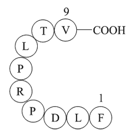 Cytochrome P450 CYP1B1 (190-198) [Homo sapiens]