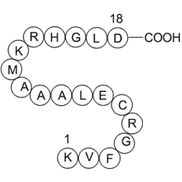 egg white lysozyme (19-36) [Gallus gallus]
