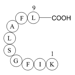 erbB-2