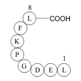 eukaryotic translation elongation factor 1 alpha 1 (EEF1A1) (387-394) [Multiple species]
