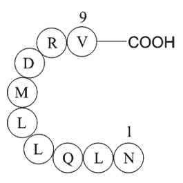 eukaryotic translation initiation factor 3