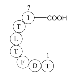 IgG light chain variable region [Homo sapiens]/IgM/kappa antibody [Mus musculus]