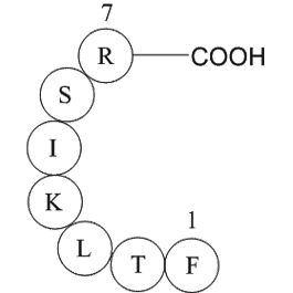 immunoglobulin light chain variable region fragment [Homo sapiens]