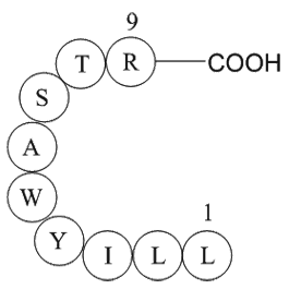 immunoglobulin light chain variable region fragment [Homo sapiens]/[Mus musculus]