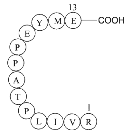 matrix protein (3-15) [Zaire ebolavirus]