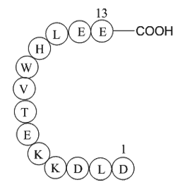 MHC class II antigen (45-57) [Homo sapiens]
