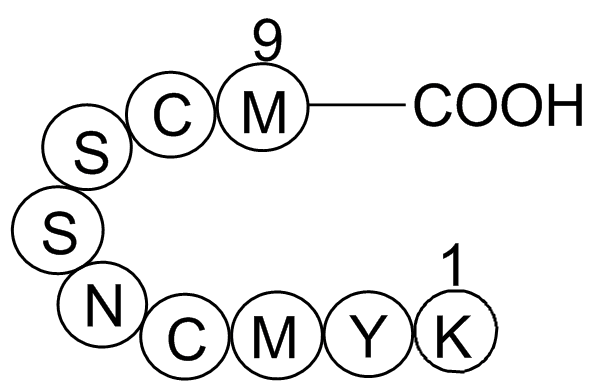 p53 tumor suppressor fragment