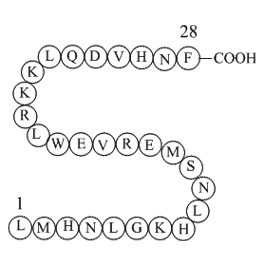 parathyroid hormone (7-34) [Homo sapiens]/[Macaca fascicularis]