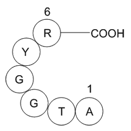 prostate apoptosis response protein PAR-4 (2-7) [Homo sapiens]