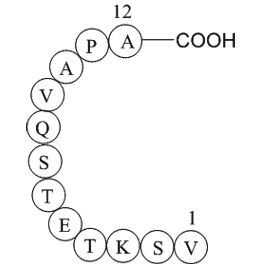 Rhodopsin peptide