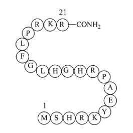 Ribosomal protein L3 peptide (202-222) amide