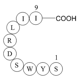signal transducer and activator of transcription 6 fragment