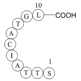 ubiquitin specific protease 3 fragment