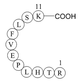 vitamin D binding protein precursor (353-363) [Homo sapiens]