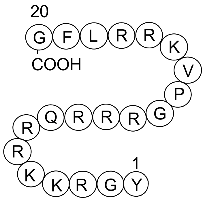 Cdk2/Cyclin Inhibitory Peptide I