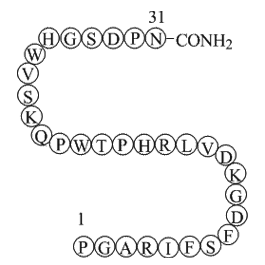 Endostatin (84-114)-NH2 (JKC367)