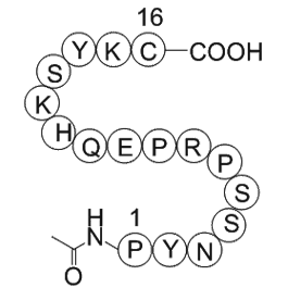 Nitric Oxide Synthase (599-613) Blocking Peptide, Bovine Endothelial Cell