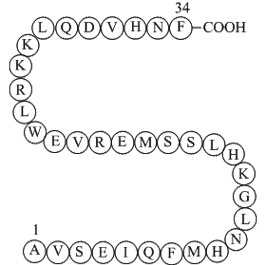 Parathyroid Hormone (1-34), bovine