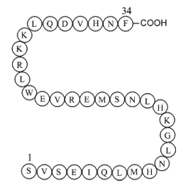 Parathyroid hormone (1-34) (human)
