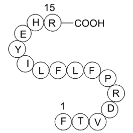heparin cofactor II precursor (SERPIND1) fragment [Homo sapiens]