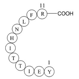 heparin cofactor II precursor fragment [Homo sapiens]