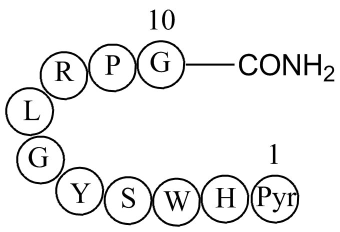 Luteinizing hormone releasing hormone human acetate salt (LHRH)