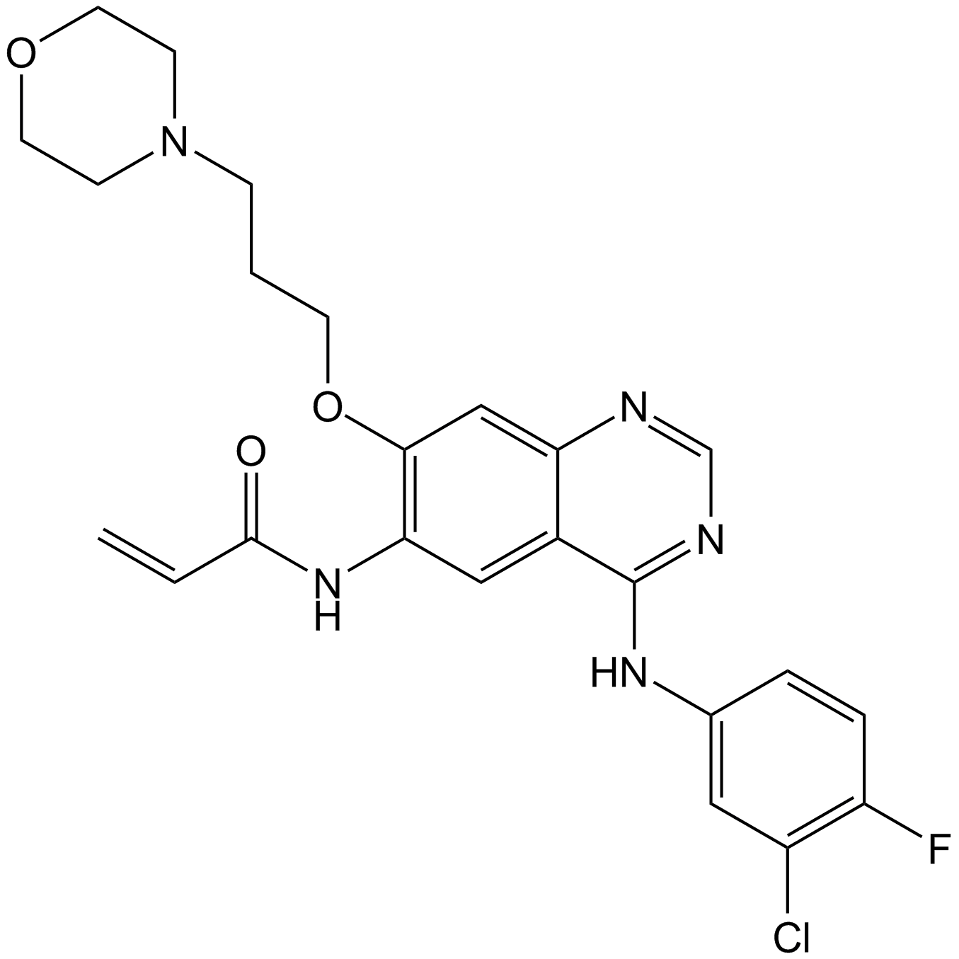 Canertinib (CI-1033)
