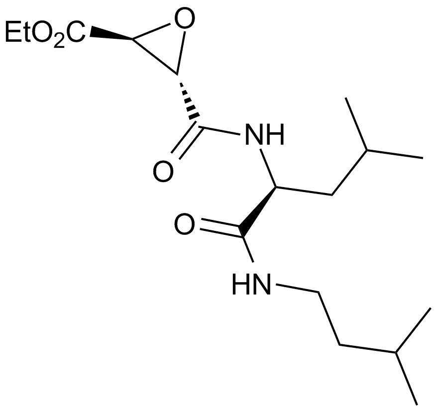 E 64d