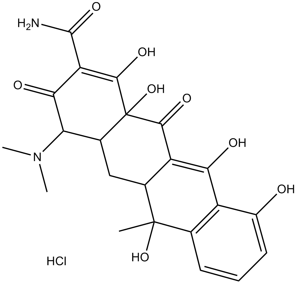 Tetracycline Hydrochloride