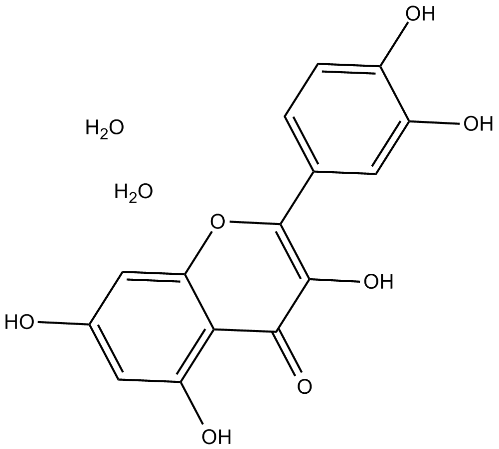 Quercetin dihydrate