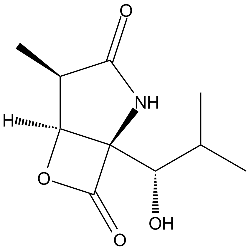 Clasto-Lactacystin β-lactone