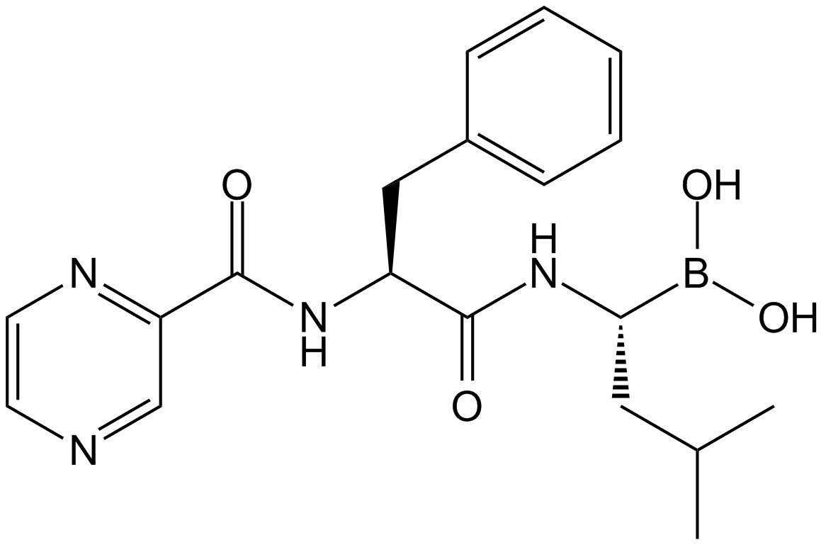 Bortezomib (PS-341)
