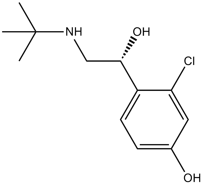 HOKU-81