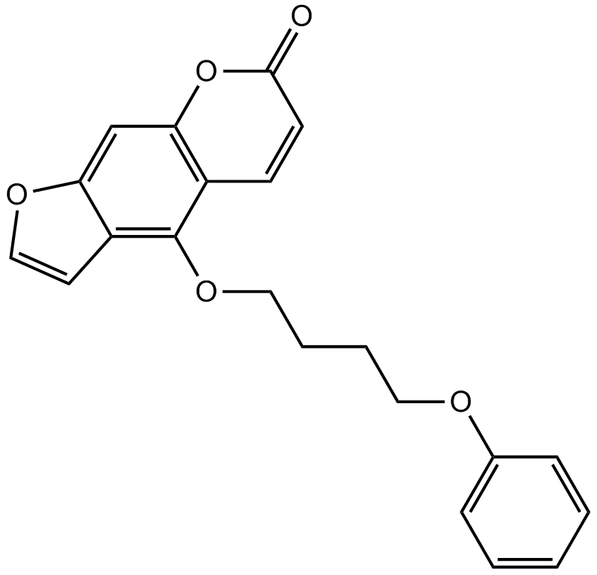 PAP-1