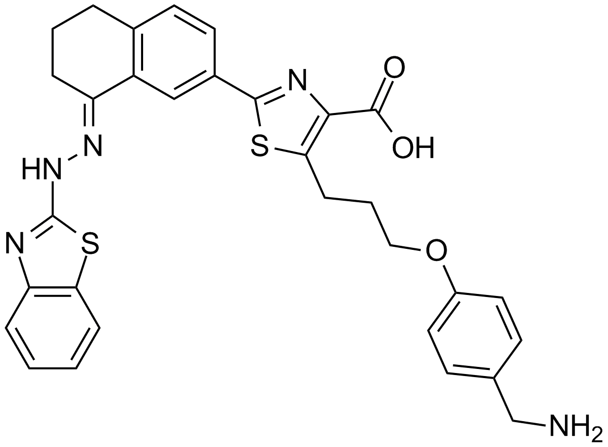 WEHI-539
