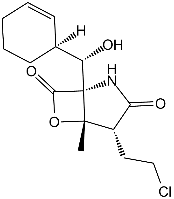 Salinosporamide A (NPI-0052, Marizomib)