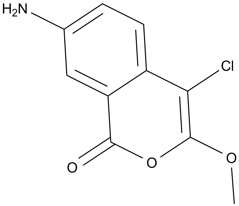 JLK 6
