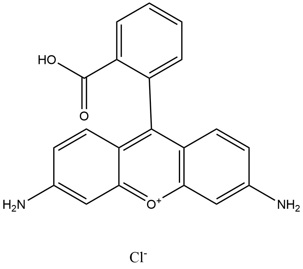 Rhodamine 110 (chloride)