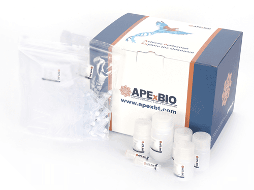 ApexPrep DNA Plasmid Miniprep Column Only