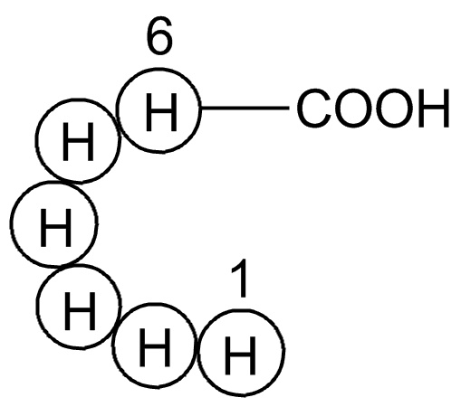 Hexa His tag peptide