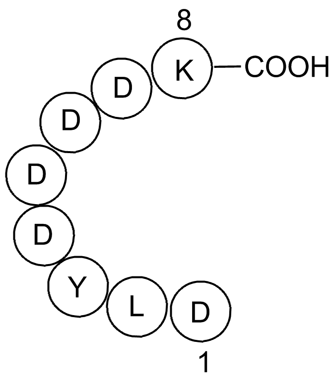 X-press Tag Peptide